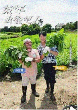 韩剧在线观看免费 幕后